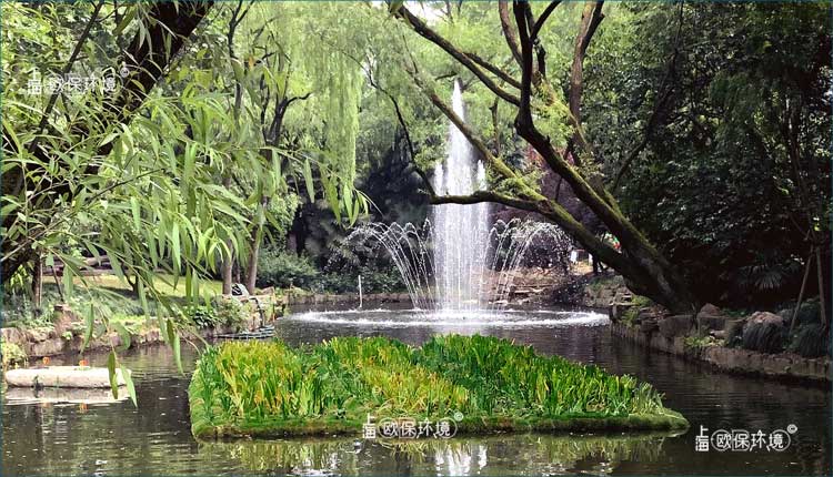 浮田型漂浮湿地植物全覆盖,种植初期即可成形,看不到本体材料 浮田型漂浮湿地植物全覆盖,种植初期即可成形,看不到本体材料