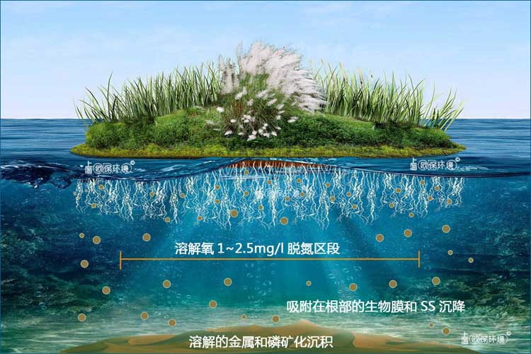 浮田型漂浮湿地净水机理 浮田型漂浮湿地净水机理