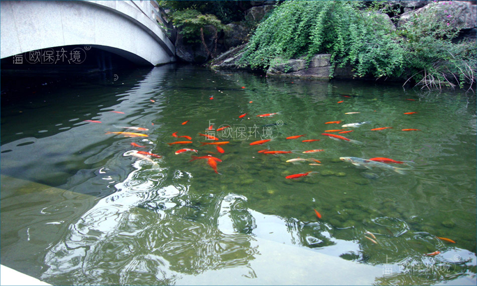 污水厂出水提标改造&mdash;&mdash;生物强化脱氮，将一级A排水提高至地表IV标准，助力污水厂出水提标改造