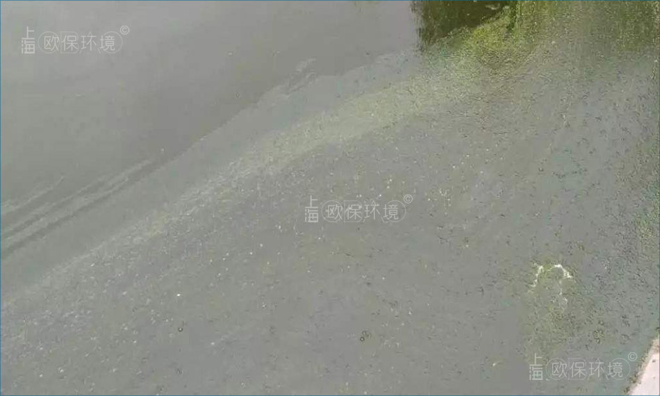 浮油是一种在水面极易扩散的物质,少量的浮油就可将大面积的水面覆盖 浮油是一种在水面极易扩散的物质,少量的浮油就可将大面积的水面覆盖