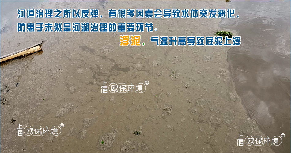 水面浮泥覆盖表面,不及时处理,导致完全隔断水与空气的接触,影响水体自然复氧与水体观感 水面浮泥覆盖表面,不及时处理,导致完全隔断水与空气的接触,影响水体自然复氧与水体观感