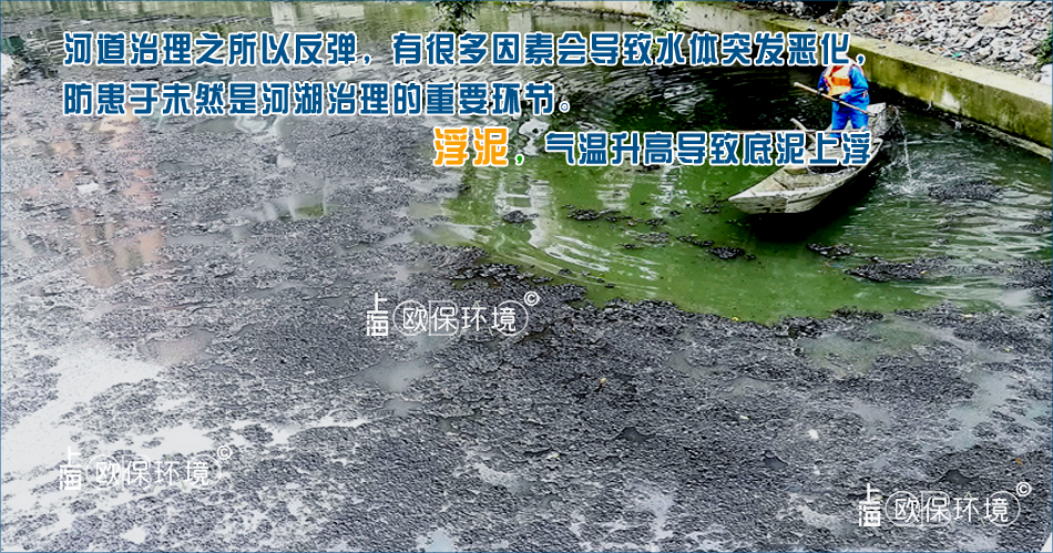 河道污染严重,底泥上浮,产生大量浮泥,未及时清理,水面浮泥密集,像被子一样阻隔水体自然复氧,导致水体黑臭。 河道污染严重,底泥上浮,产生大量浮泥,未及时清理,水面浮泥密集,像被子一样阻隔水体自然复氧,导致水体黑臭。