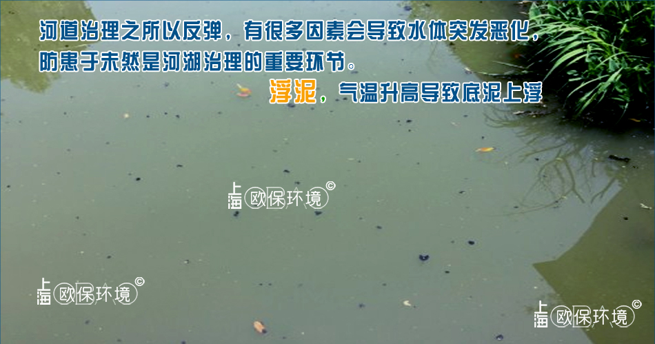 湖泊浅水区域底泥危害:湖泊边缘由于与主湖区水体交换程度低,周边污染不断排入,净水措施的缺乏,导致底泥增厚,水体缺氧度高,水温升高产生厌氧,底泥上浮,初期少量浮泥,后期将出现大量浮泥,甚至完全覆盖水面,加剧水体缺氧水质恶化。 湖泊浅水区域底泥危害:湖泊边缘由于与主湖区水体交换程度低,周边污染不断排入,净水措施的缺乏,导致底泥增厚,水体缺氧度高,水温升高产生厌氧,底泥上浮,初期少量浮泥,后期将出现大量浮泥,甚至完全覆盖水面,加剧水体缺氧水质恶化。