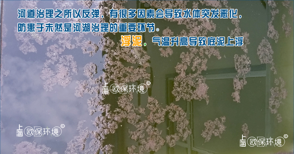 浮泥是水体缺氧产生的H2S、CH4等气体上浮带起的河道底泥 浮泥是水体缺氧产生的H2S、CH4等气体上浮带起的河道底泥