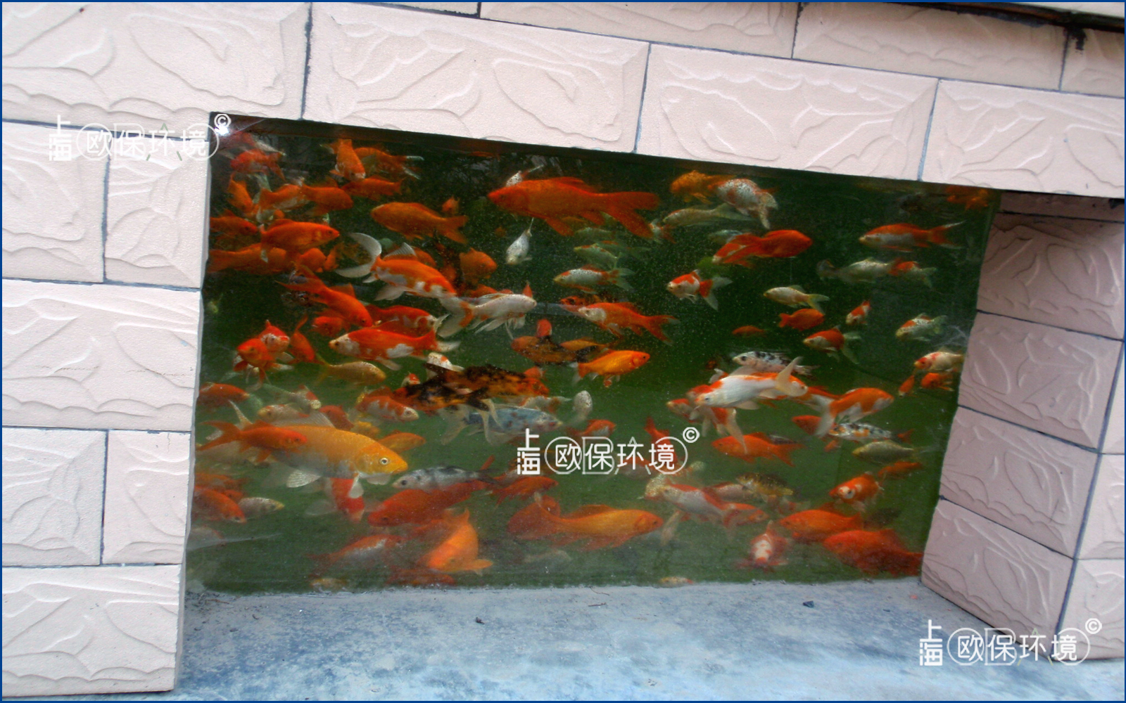 欧保公司景观水池