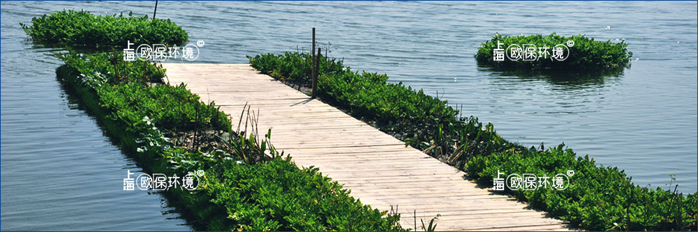 与其他湿地处理系统一样,高分子纤维浮动湿地通过四个主要过程去除污染物。但是FTWS中植物根系产生的更大的表面积,并且有不断增加的趋势。沉淀(过滤)、微生物分解、硝化和反硝化,并且会改变水的化学性质,即pH值和溶解氧(DO)浓度。 特别是纤维浮动湿地提供的好氧、兼氧、厌氧生境,几乎提供了一个“广谱”净化空间。 与其他湿地处理系统一样,高分子纤维浮动湿地通过四个主要过程去除污染物。但是FTWS中植物根系产生的更大的表面积,并且有不断增加的趋势。沉淀(过滤)、微生物分解、硝化和反硝化,并且会改变水的化学性质,即pH值和溶解氧(DO)浓度。 特别是纤维浮动湿地提供的好氧、兼氧、厌氧生境,几乎提供了一个“广谱”净化空间。