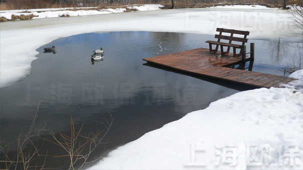 抗冰冻生态塘推流曝气机