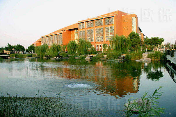 抗冰冻生态塘推流曝气机