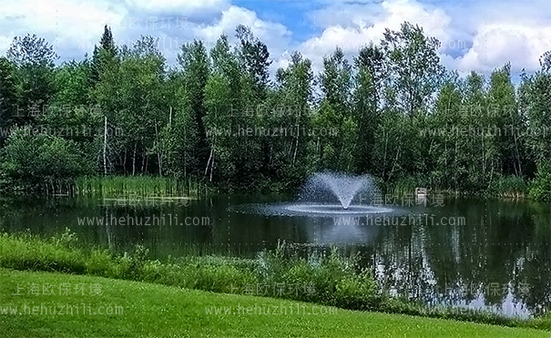 太阳能喷泉曝气机(SOLARAER-BGF)