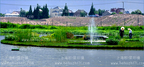 太阳能喷泉曝气机(SOLARAER-BGF)