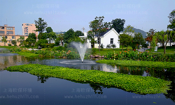 太阳能喷泉曝气机(SOLARAER-BGF)