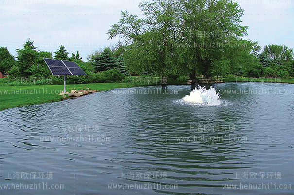 太阳能喷泉曝气机(SOLARAER-BGF)