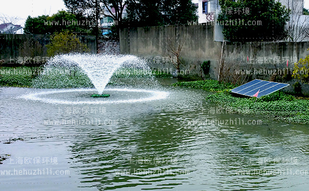 太阳能喷泉曝气机(SOLARAER-BGF)