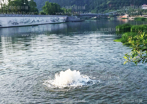 涌泉式活化能曝气机