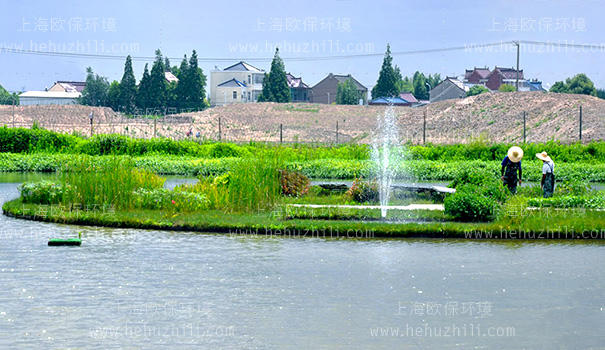 活化能曝气机(硅微囊活化触媒)