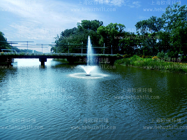 活化能曝气机(硅微囊活化触媒)