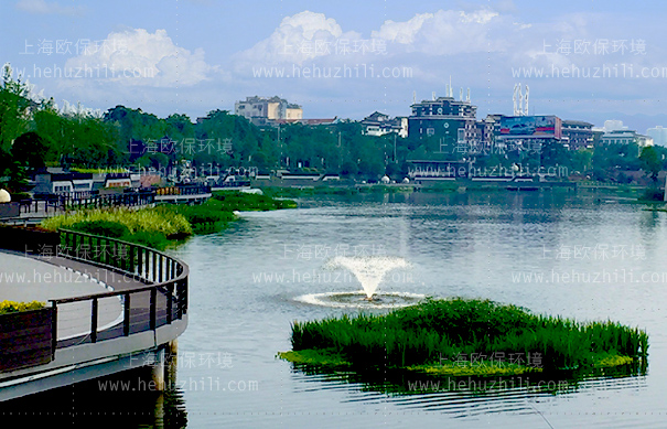 活化能曝气机(硅微囊活化触媒)