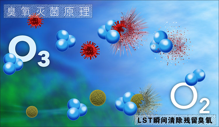 臭氧分解催化剂 臭氧分解催化剂