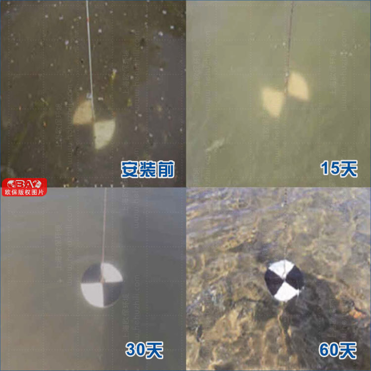 簇团型生境填料安装60天后,水体清澈,水质明显改善 簇团型生境填料安装60天后,水体清澈,水质明显改善