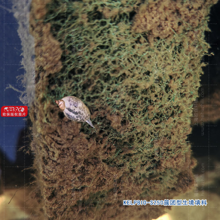 KELPBIO-S250簇团型生境填料,水生动物栖息地 KELPBIO-S250簇团型生境填料,水生动物栖息地