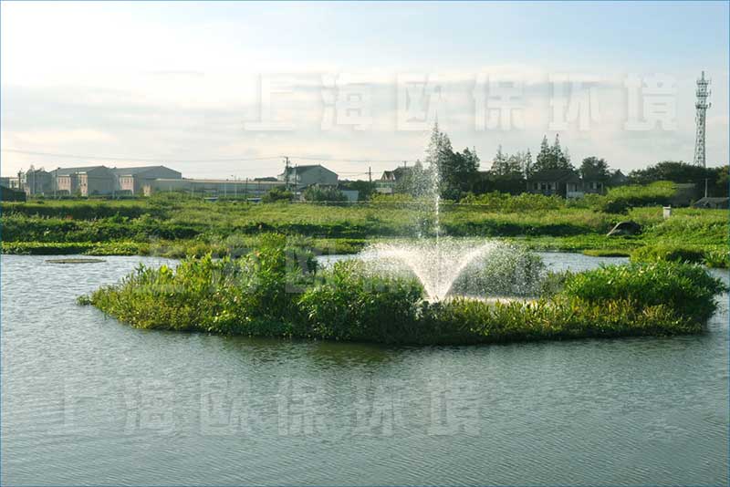 浮田型漂浮湿地能够与各种曝气机组合使用,形成一体化漂浮净水平台。 浮田型漂浮湿地能够与各种曝气机组合使用,形成一体化漂浮净水平台。