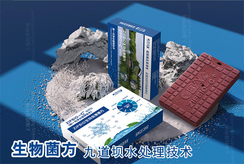 九道坝水处理技术