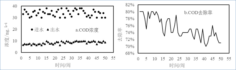 图1 加强型三池两坝技术对COD的去除效果 图1 加强型三池两坝技术对COD的去除效果