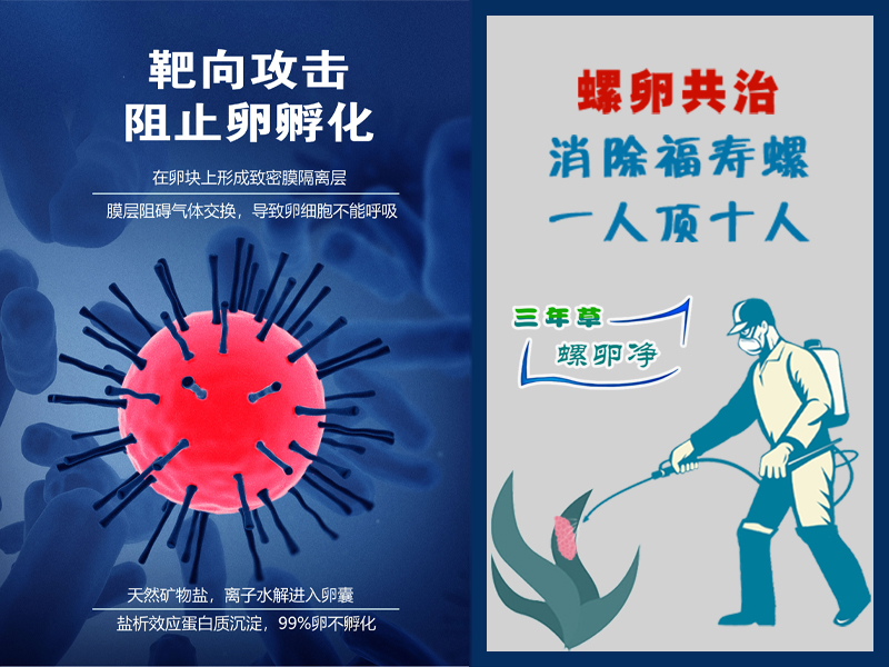 螺卵净PCBC｜靶向除螺卵，清理福寿螺，守护河湖湿地生态