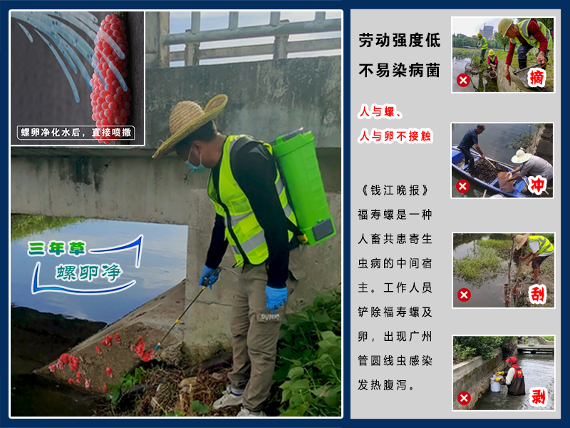螺卵净PCBC｜靶向除螺卵，清理福寿螺，守护河湖湿地生态