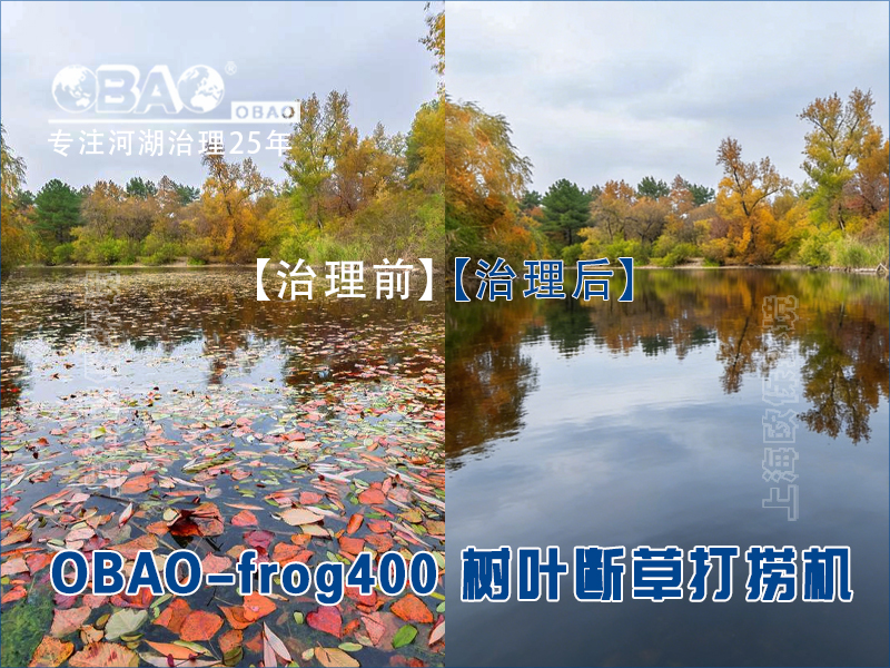OBAO-frog400树叶断草打捞机
